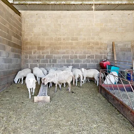 Farm stay Mas Cal Ginto Das